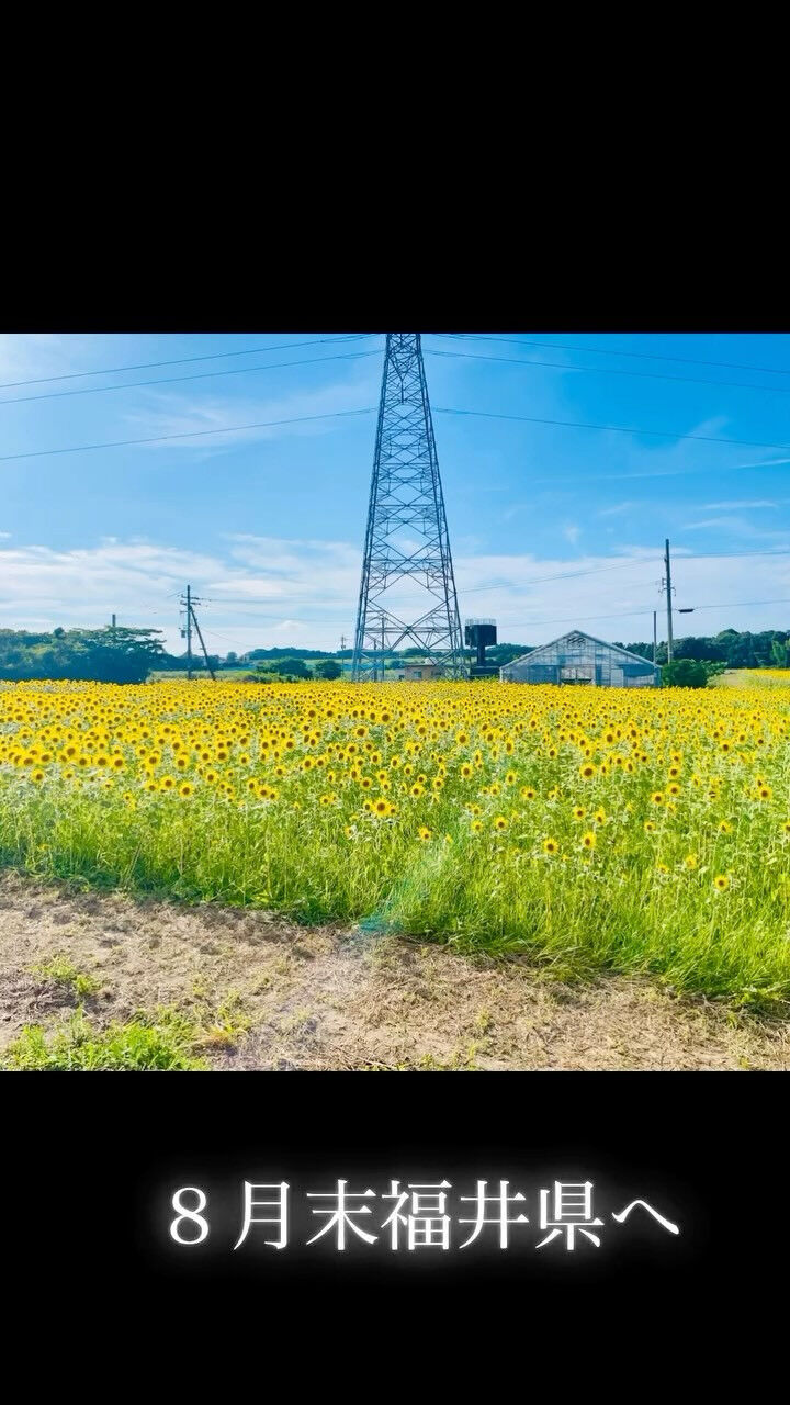 夏休みの大冒険🌻